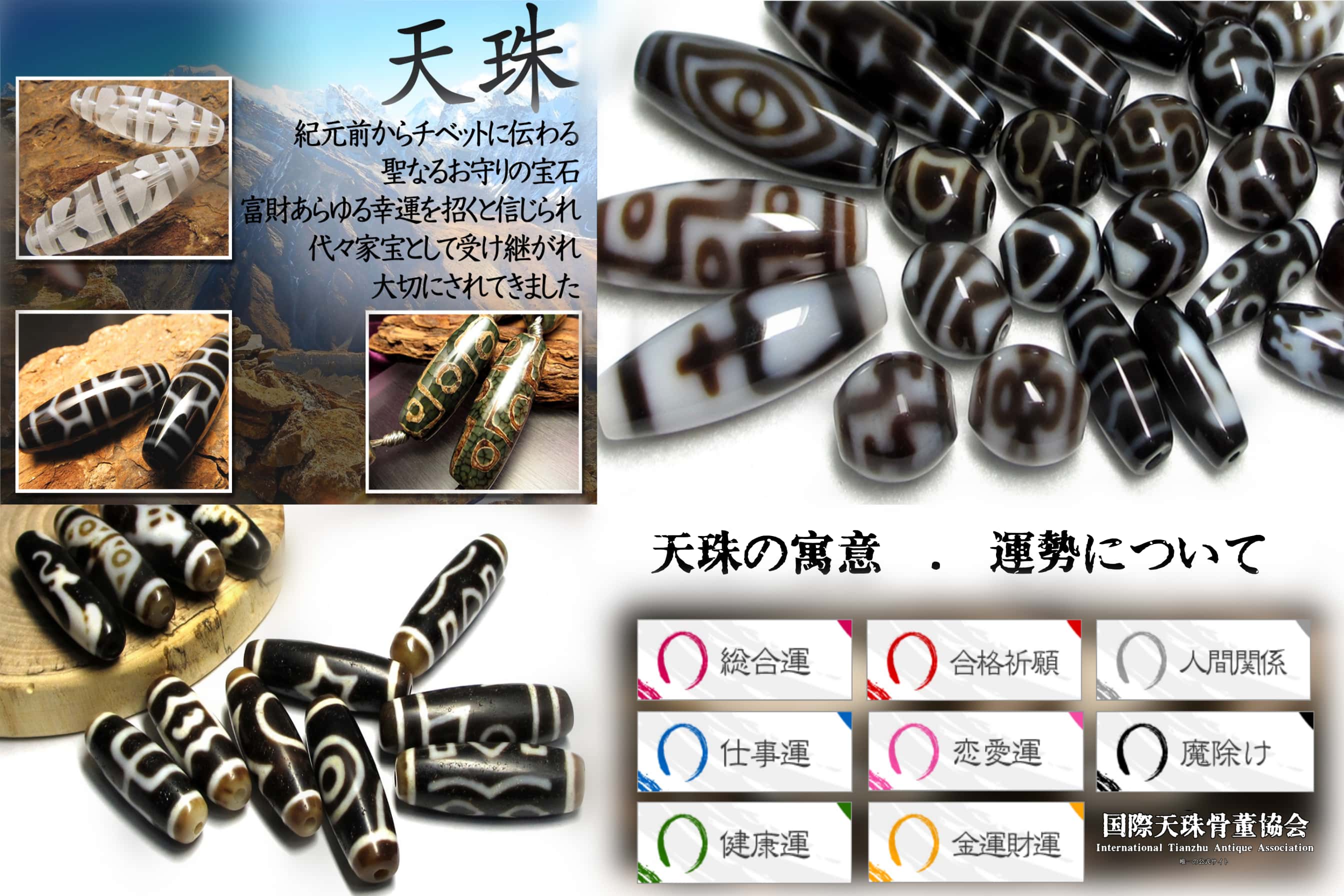 8c0a5a819a9c5d1f1eee9451e0e5ac
